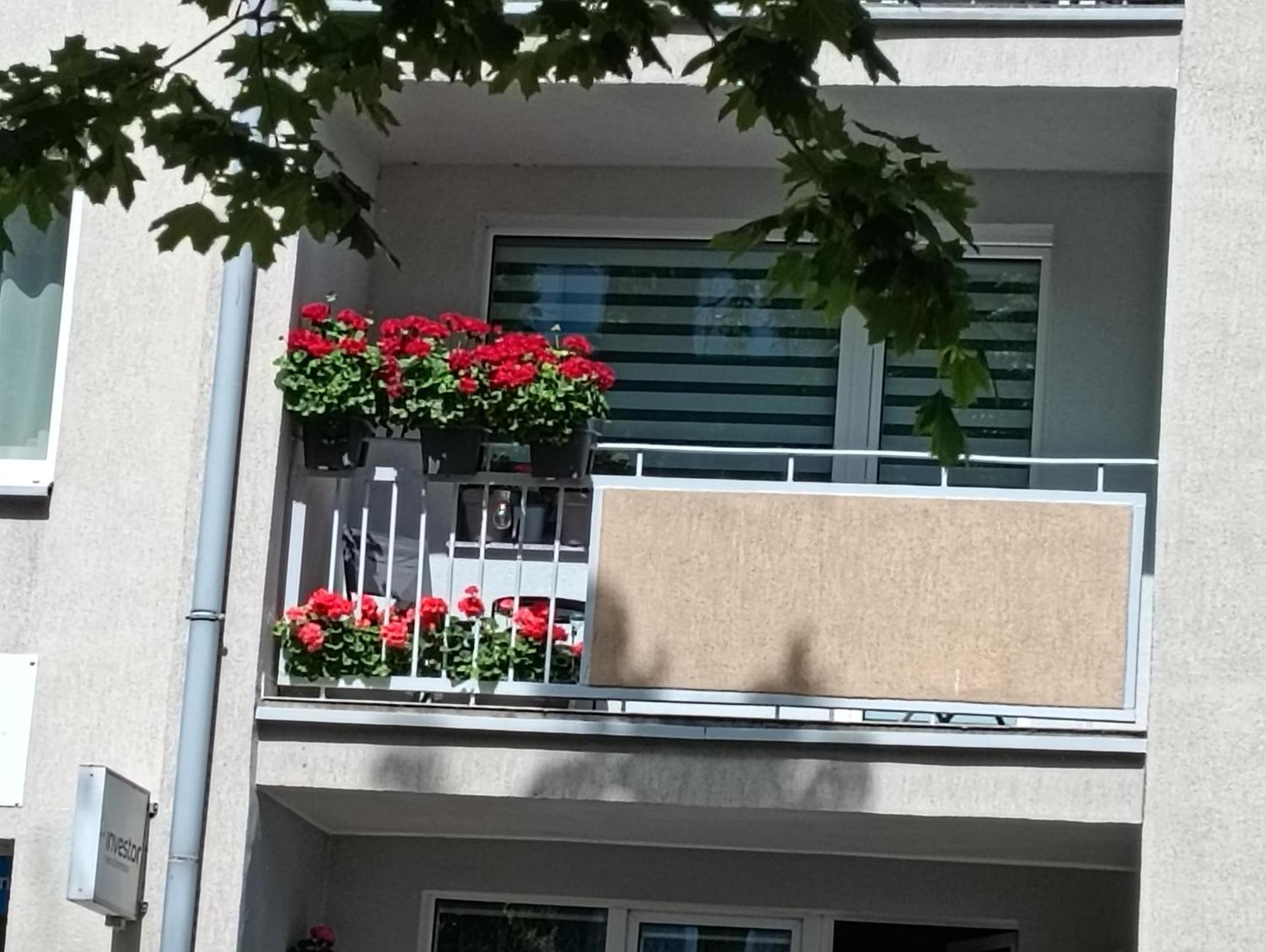 Apartament Ale Laba Колобжег Екстериор снимка