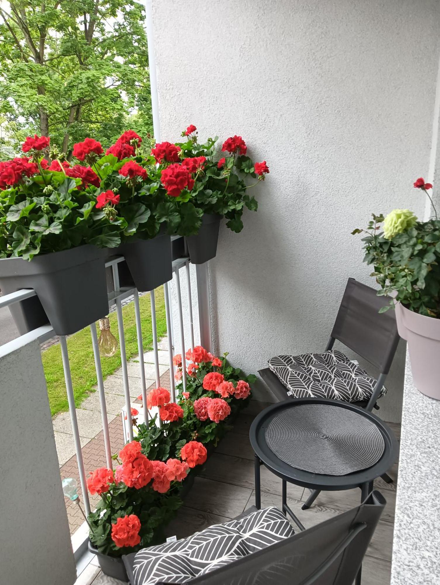 Apartament Ale Laba Колобжег Екстериор снимка